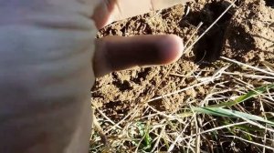 Коп по старине.Назад в прошлое.