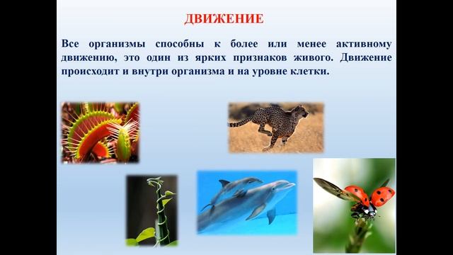 Естествознание 3 четверть Процессы присущие живым организмам 1