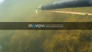 подводная охота на реке сосыка