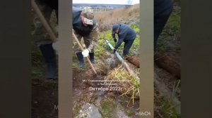 МО "Подкуровское сельское поселение" п.Лысогорский   Восстановление родника