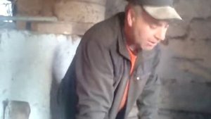 Кабан с одним яйцом