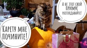 У Артёма новый приз за победу в конкурсе и новые свежие конкурсы! Распаковываем рейсмус и топим тазы