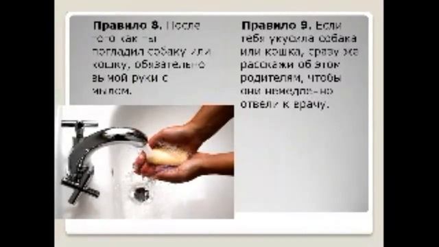 Коррекционно - развивающее занятие: " Безопасность при общении с животными, змеями и насекомыми". смотреть онлайн