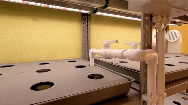 Вертикальная ферма «Танто» для выращивания зелени — краткий обзор смотреть онлайн