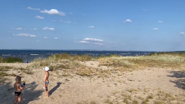 Устье реки Выбья. Август 2023 смотреть онлайн