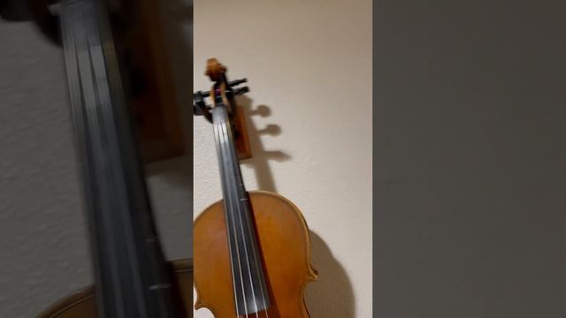 guitar violin mandolin a arsenal of music. desert fountainofyouth making music