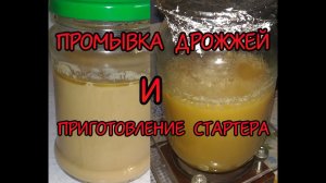 Промывка пивных дрожжей и приготовление стартера.