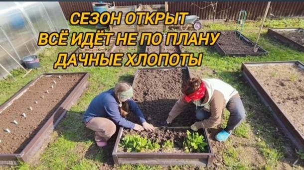 Дачный сезон #1