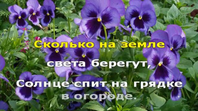 Караоке для детей. Анютины глазки смотреть онлайн