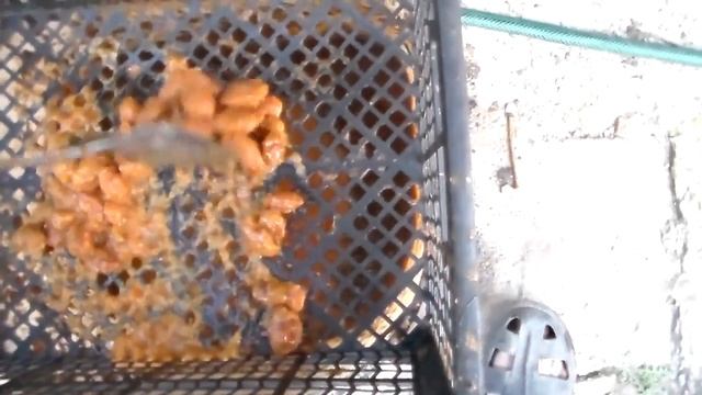 Технология переработки фруктового сырья ч.2 смотреть онлайн