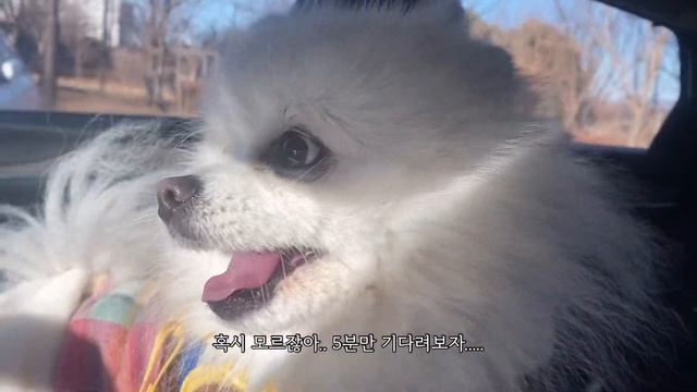 [Sub]자취브이로그 이연복쉐프 짜장면에 탕수육 먹고, 남은 탕수육으로 김피탕 만드는 자취생일상. 김피탕 개존맛이네...?♀️