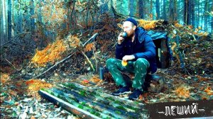 Я живу один в лесу и строю землянку. Замаскировал и сделал дверь! Выживание в комфорте.