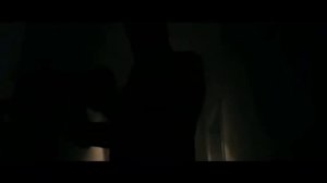 Долина волков хаос