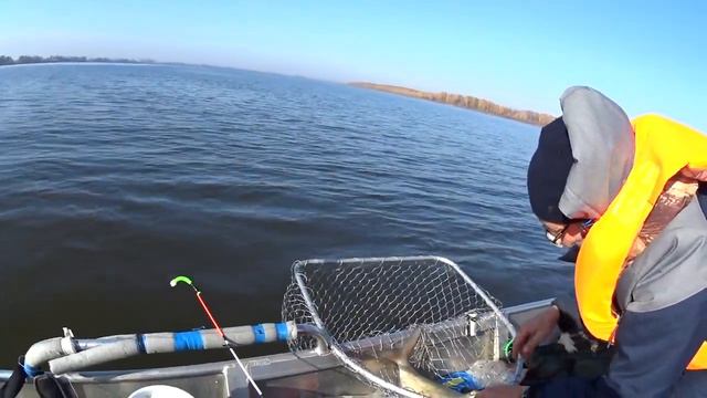 ловим рыбу на ЯйЦа с Ринатом смотреть онлайн