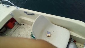 Обзор лодки ямаха фиш 15