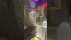 Нежное Картофельное пюре, без сливочного масла