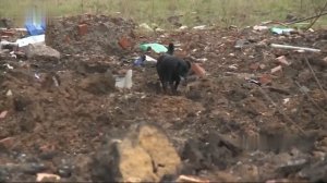 СЕВЕРСК  |  Донецкая область  |  @Alexayoutube