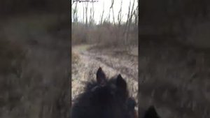 Адыгея а.Кошехабль