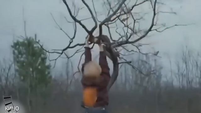 Сон-трава смотреть онлайн