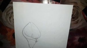 Урок по трансляции с каналом ВСЕМ АРТ!