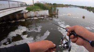 Судаки,плотва,окунь.Мормышинг_наноджиг.