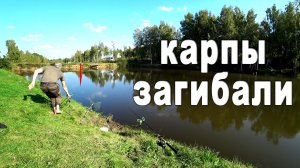 Рыбалка на КАРПА осенью. Сентябрь 2019. Carp Fishing.