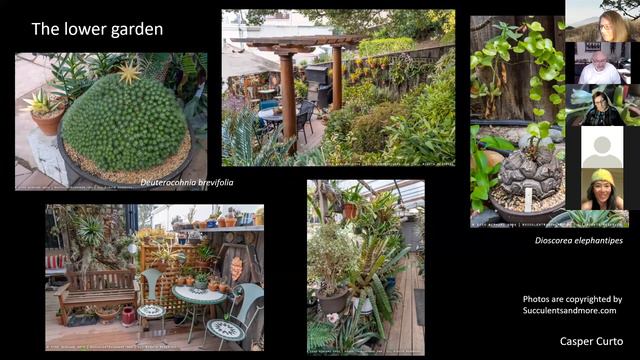 Plant Forum, California Horticultural Society, January 2022 смотреть онлайн