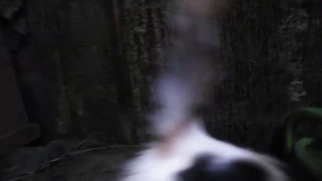 Сколько лет держать крольчиху для потомства? смотреть онлайн