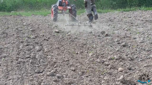 БОРОНОВАНИЕ до ВСХОДОВ КАРТОФЕЛЯ мотоблоком Агат. HARROWING to POTATO SPRING. 馬鈴薯春天