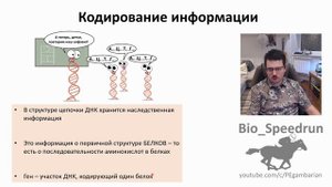 3. Нуклеиновые кислоты (Speedrun общая биология 9-11 класс, ЕГЭ, ОГЭ 2021)