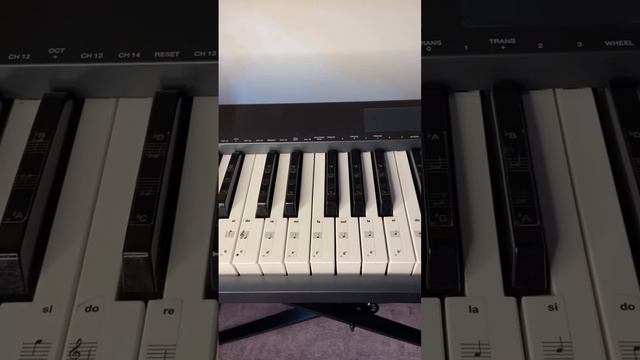 Ноты и октавы на фортепиано 🎹