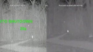 Тепловизор FLIR SCOUT PS24 VS PULSAR QUANTUM HD19S