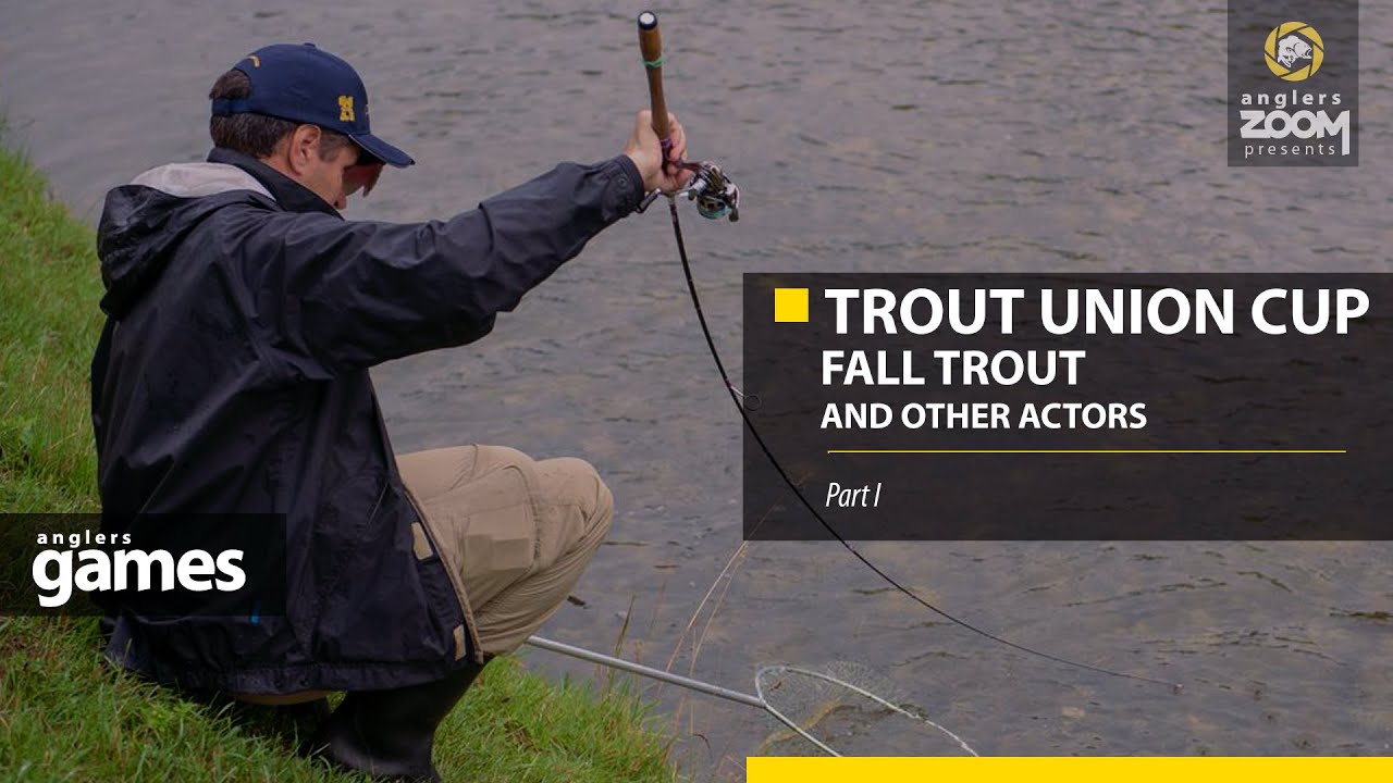 Trout Union Cup. Fall trout and other actors. Part 1 (English)