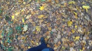 ASMR 4K Video - АСМР звуки: Шуршание, шелест осенних листьев под ногами, хруст веток, ходьба.