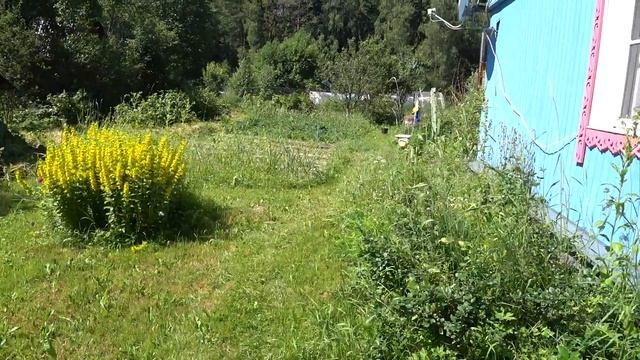 ОТПУСК В ДЕРЕВНЕ. ТРОПИКИ В КАЛУЖСКОЙ ОБЛАСТИ. смотреть онлайн