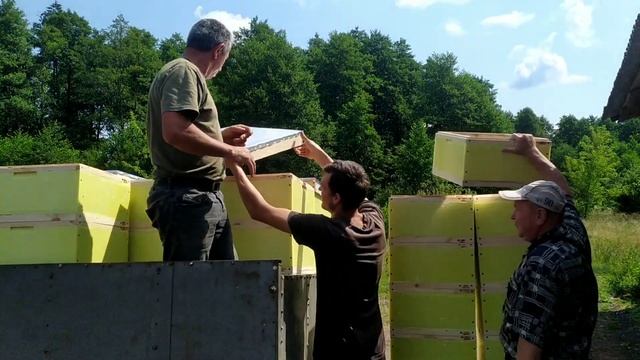 Отзив покупателей о ульях с пенополистирола. Заказ на Винницу. #ульяэппс смотреть онлайн