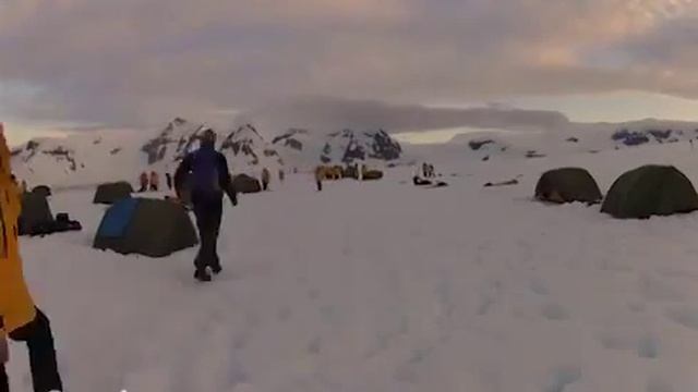 Круизы в Арктику и Антарктику: активные приключения смотреть онлайн