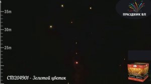 Салют Золотой цветок, 49 залпов