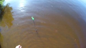 Рыбалка в жаркий июнь(ультралайт, пикер)