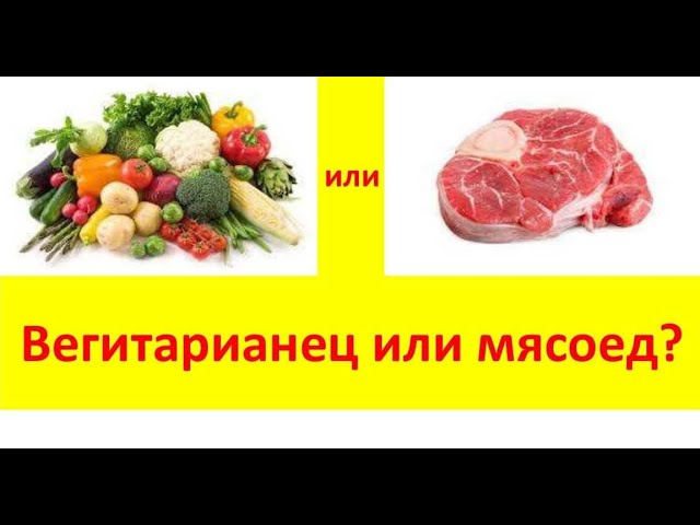 Веганство и вегетарианство, полезно ли_ Аминокислоты.

#вегетарианство #веганство #аминокислоты