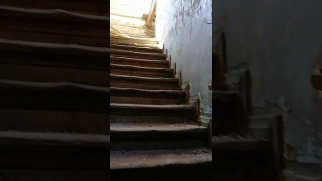 Внутри усадьбы Киискиля. Выборг, Ленинградская область. Август 2023