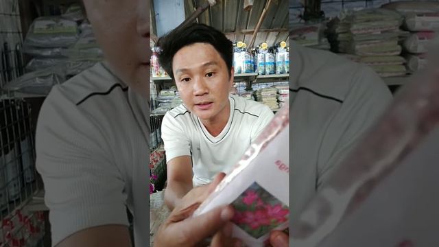 Poh Soon Garden EP 2 - How to take care Petunia & hanging flower смотреть онлайн