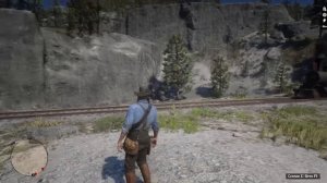 Это должен сделать каждый игрок в RDR2