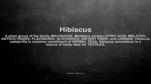 Medical vocabulary: What does Hibiscus mean