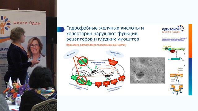 1. Общая лекция. Желчный пузырь и механизм действия гимекромона. Шульпекова Ю.О