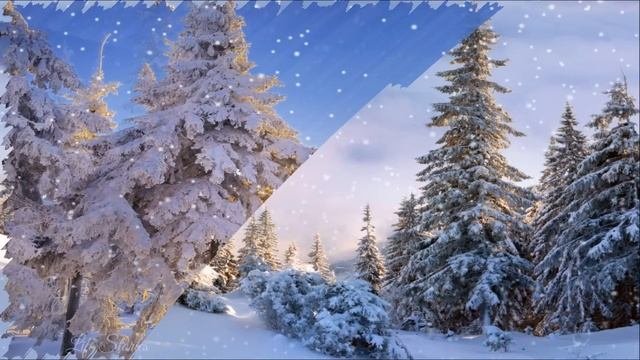 Девочка в Лесу 1~НеВЫдуманные истории, Жизненные Истории, Душевные Истории, Аудио рассказы