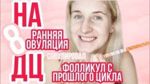 ОВУЛИРУЕТ ФОЛЛИКУЛ С ПРОШЛОГО ЦИКЛА ◈ РАННЯЯ ОВУЛЯЦИЯ ◈ ЭФФЕКТ ОТМЕНЫ КЛОСТИЛБЕГИТА ◈ ДИВИГЕЛЬ