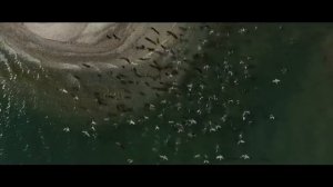 #4 ВЕНЕСУЭЛА: ОСТРОВ «КОЧЕ»