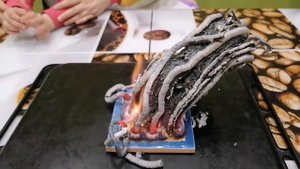 Опыт змея фараона !!! Интересное видео