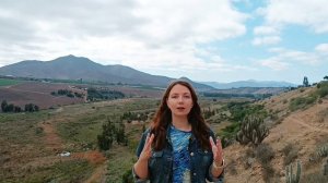 ПОЧЕМУ В ЧИЛИ ЗИМОЙ ВСЁ ЦВЕТЕТ, А НОВЫЙ ГОД - ЛЕТОМ?